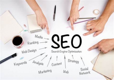 SEO Campaign - Managed for your needs