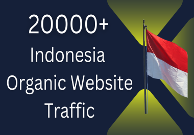 I will do organic website traffic to increase sales in Indonesia