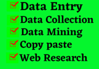 I will do data entry,  copy paste,  and web research job perfectly