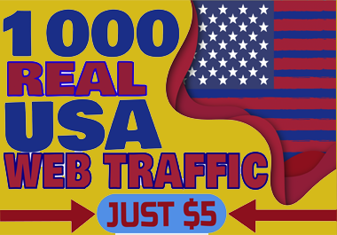 I will drive 1000+ real USA human seo friendly worldwide web traffic