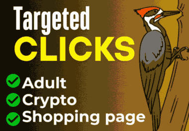 Experience the best adult web traffic