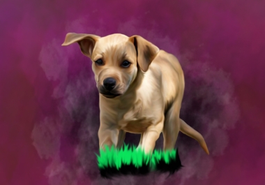 I will turn your dog or pet portrait into digital oil painting