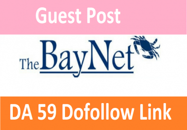 Write & Publish Guest post on Thebaynet DA59