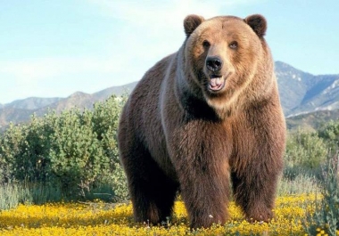 I will remove the background of 40 photos very quickly