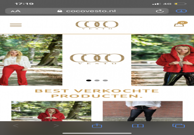 I will create you the higgest converting webshop