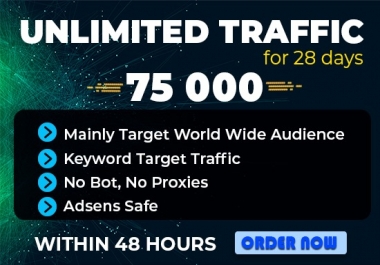 send 75000 real human keyword target website traffic or visitors to your blogs