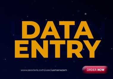 I will do instant data entry work