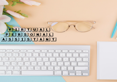 I will be your Professional Personal Virtual Assistant