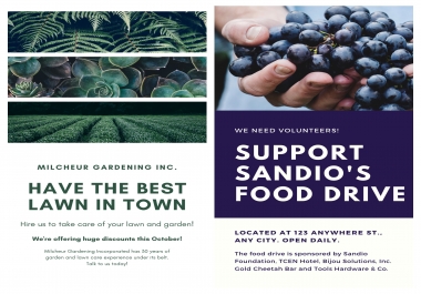 i will do professional and creative flyer and brochure design