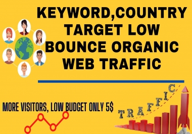 keyword, country target low bounce organic web traffic Daily 150-200 visitors for 15 days