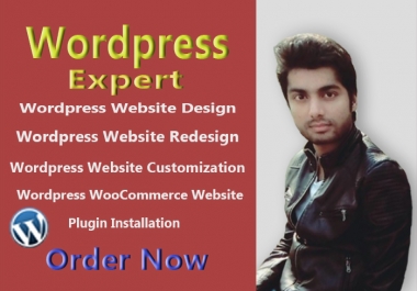 I will customize your stunning wordpress website