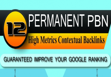 Build DA 20 - 50+ 12 Homepage PBN high authority to skyrocket your website