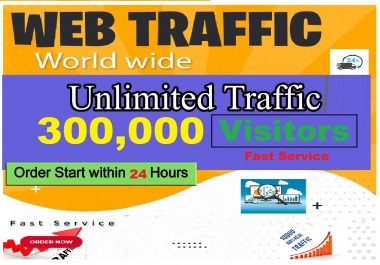 Real Web Traffic 300,000 Worldwide Organic Traffic service