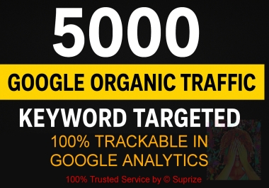 I Will Drive 5000 Keyword Targeted Google Organic Traffic nondrop
