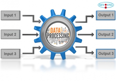 will provide 5k data processing service