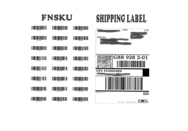 I will create FBA shipments for you and help in sending