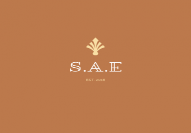 Professional Logo Design For your Brand or Business