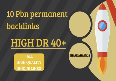 I will build 10 pbn permanent backlinks with 40+DR