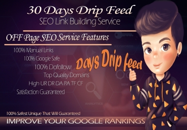 I will grow your website with drip feed SEO and high quality backlinks