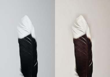 Colourise your images in better way Don't waste your time minimum payment