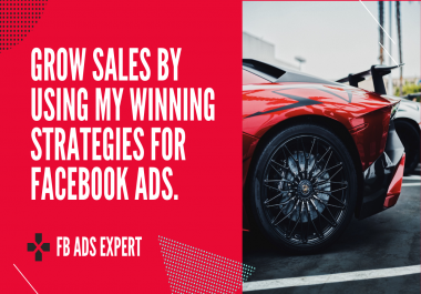 I will create or optimize the Facebook ads campaign that will help you grow your biz