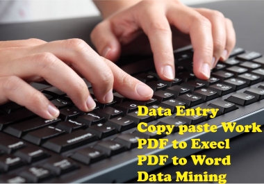 I Will Do Any Kind Of Data Entry Work Within 2 Hours