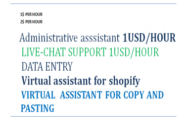 Virtual assistant for Data Entry
