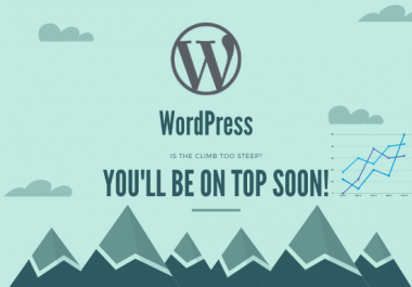 I will install and set up a pragmatic Wordpress website