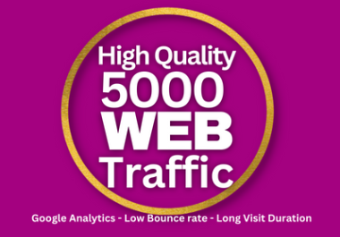 High Quality USA 5000+ web traffic google analytics low bounce rate