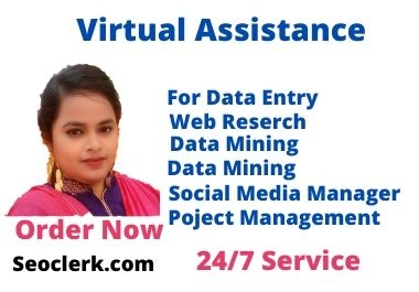 I will be your personal virtual administrative assistant