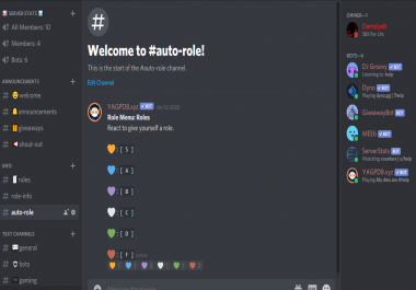 I will make you perfect discord server for your community