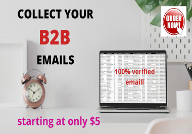 I will find B2B leads for your business