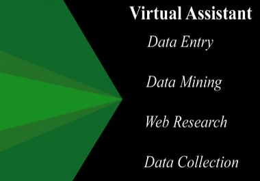 be your virtual assistant for data entry