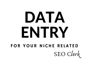 I Can Do Your Any Niche Related Data Entry Job