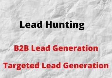 I will do b2b lead generation,  build email list for email marketing