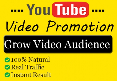 I will do organic you-tube video promotion