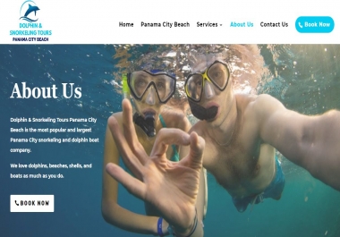 Awesome Looking Fully Optimized Professional Wordpress Website