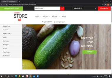 Experienced Professional Website Designer