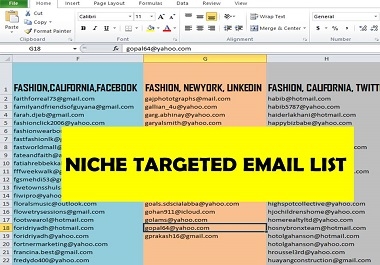 I will provide Niche targeted active EMAIL LIST