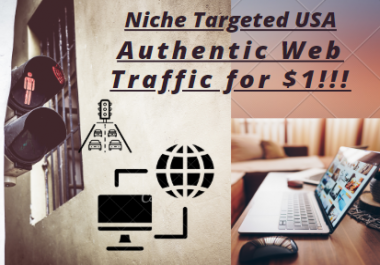Niche Targeted USA Authentic Web Traffic