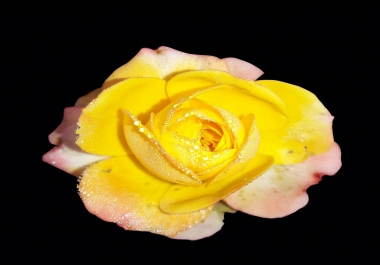 I will remove background super fast just in 3 hours