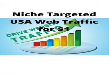 Niche Targeted USA Web Traffic Within Committed Time Period