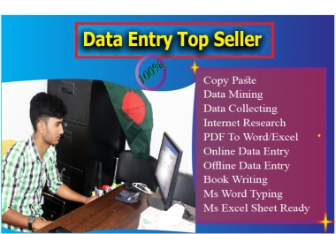 I will do data entry copy paste virtual assistant conversion data mining