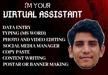 i will be your best virtual assistant in seo clerk