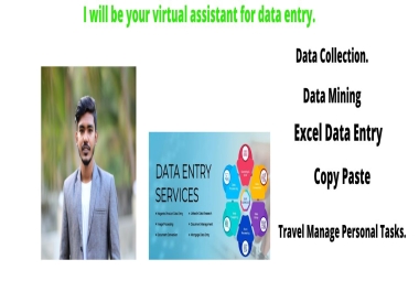 I will do virtual assistant and data entry and excel data entry