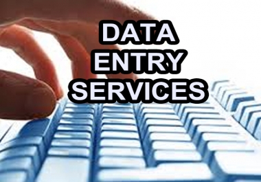 I will do data entry as per your instructions
