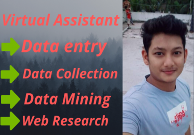 I will be your virtual assistant for web research & data entry