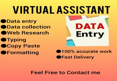 I will do data entry, typing, copy paste work