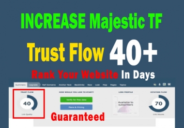 increase majestic TF 35 plus with manual high trust flow backlinks