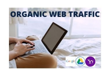 UNLIMITED real Website TRAFFIC